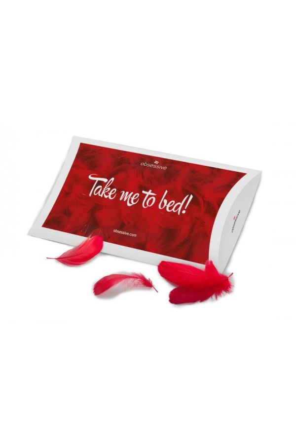 BED DECOR TAKE ME TO BED RED TES1818