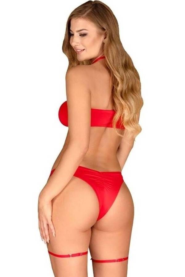 lingerie set bra brazil panties garters red.